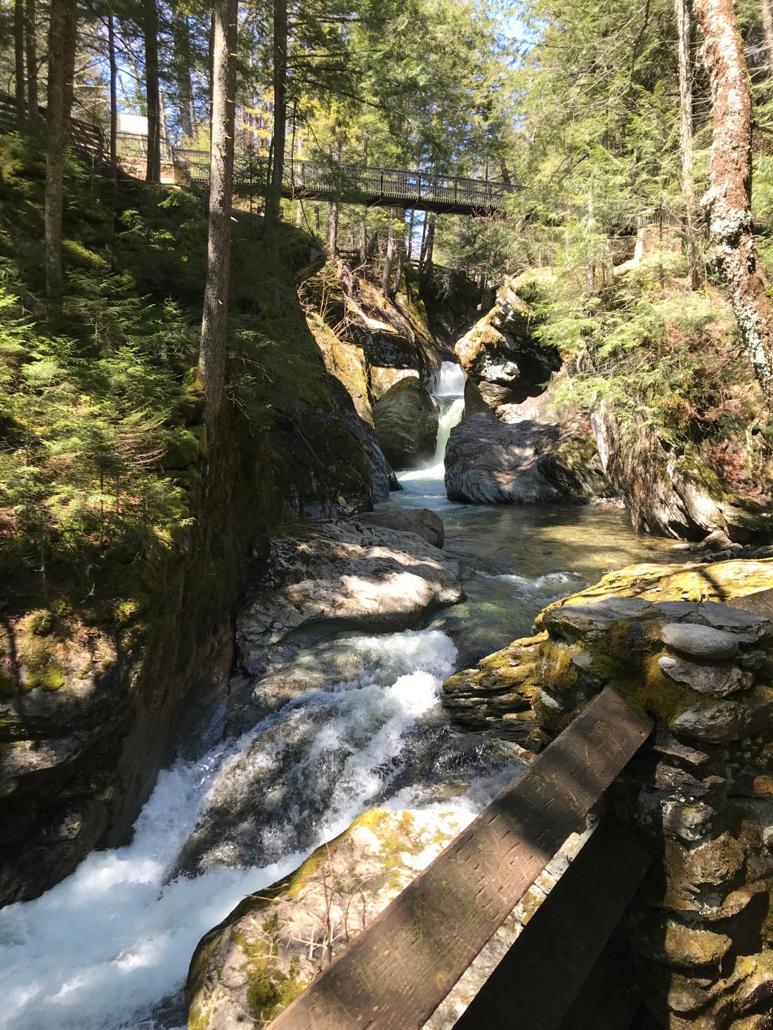 BA1133E0-465D-42D9-B89E-3E5638569CC8