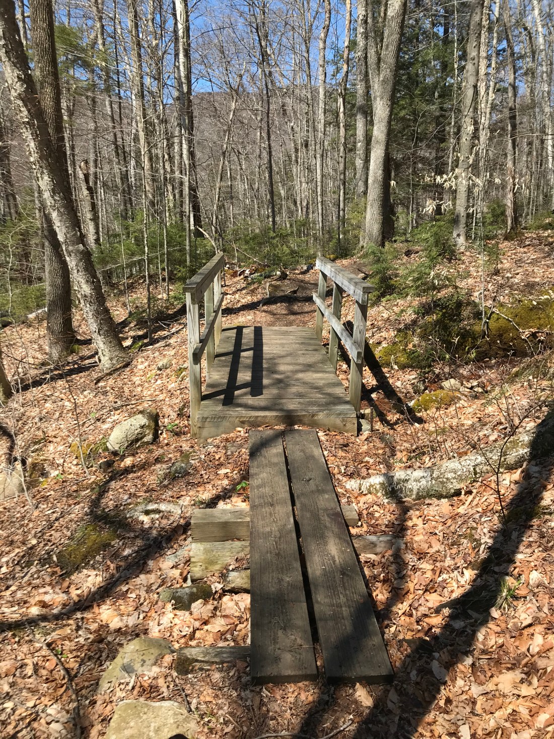 C07AB9E7-26D4-476A-88F1-B52B41A982E0