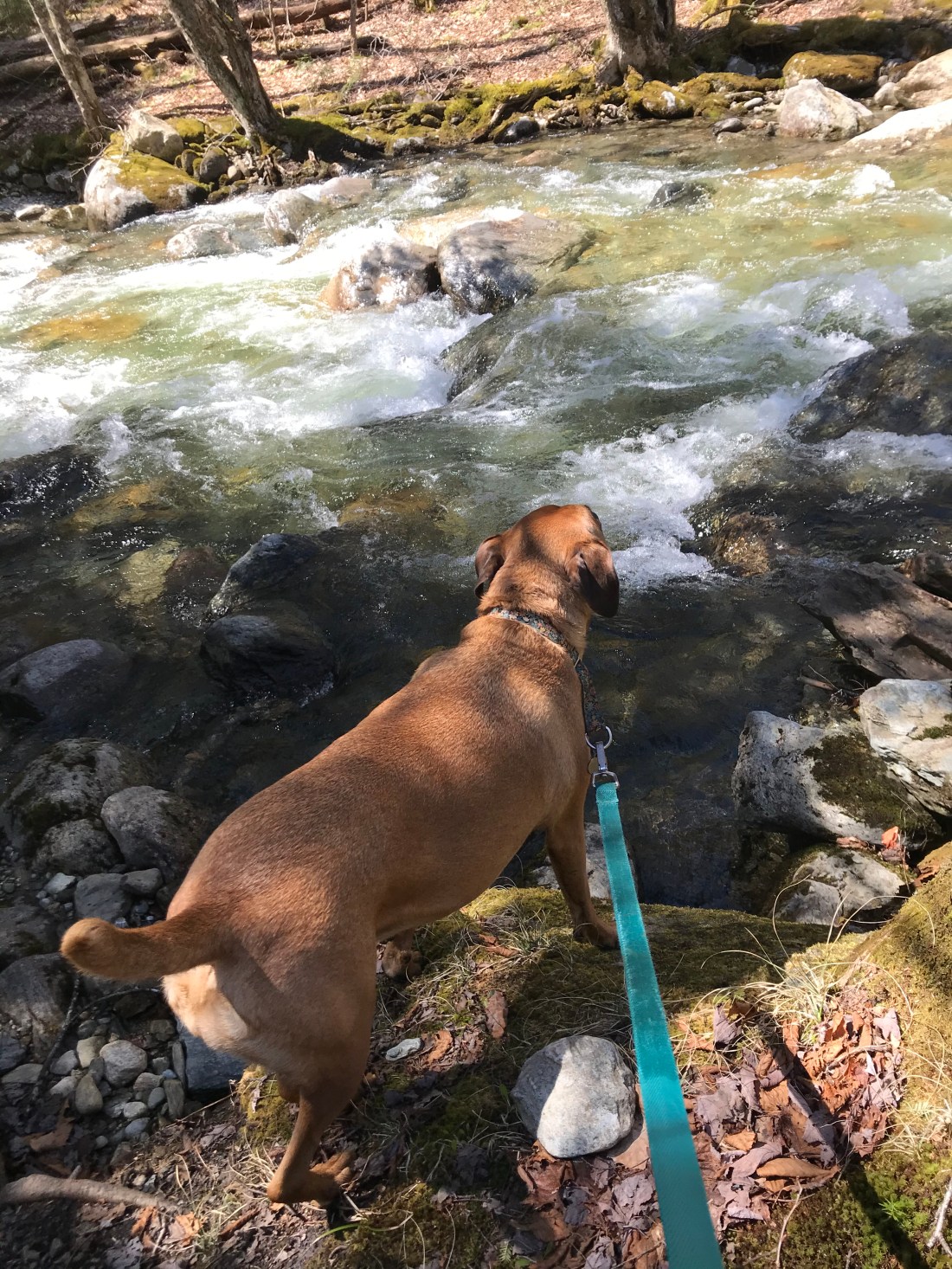 C19AEDCB-95F6-4E38-96E6-6A02A965BA45