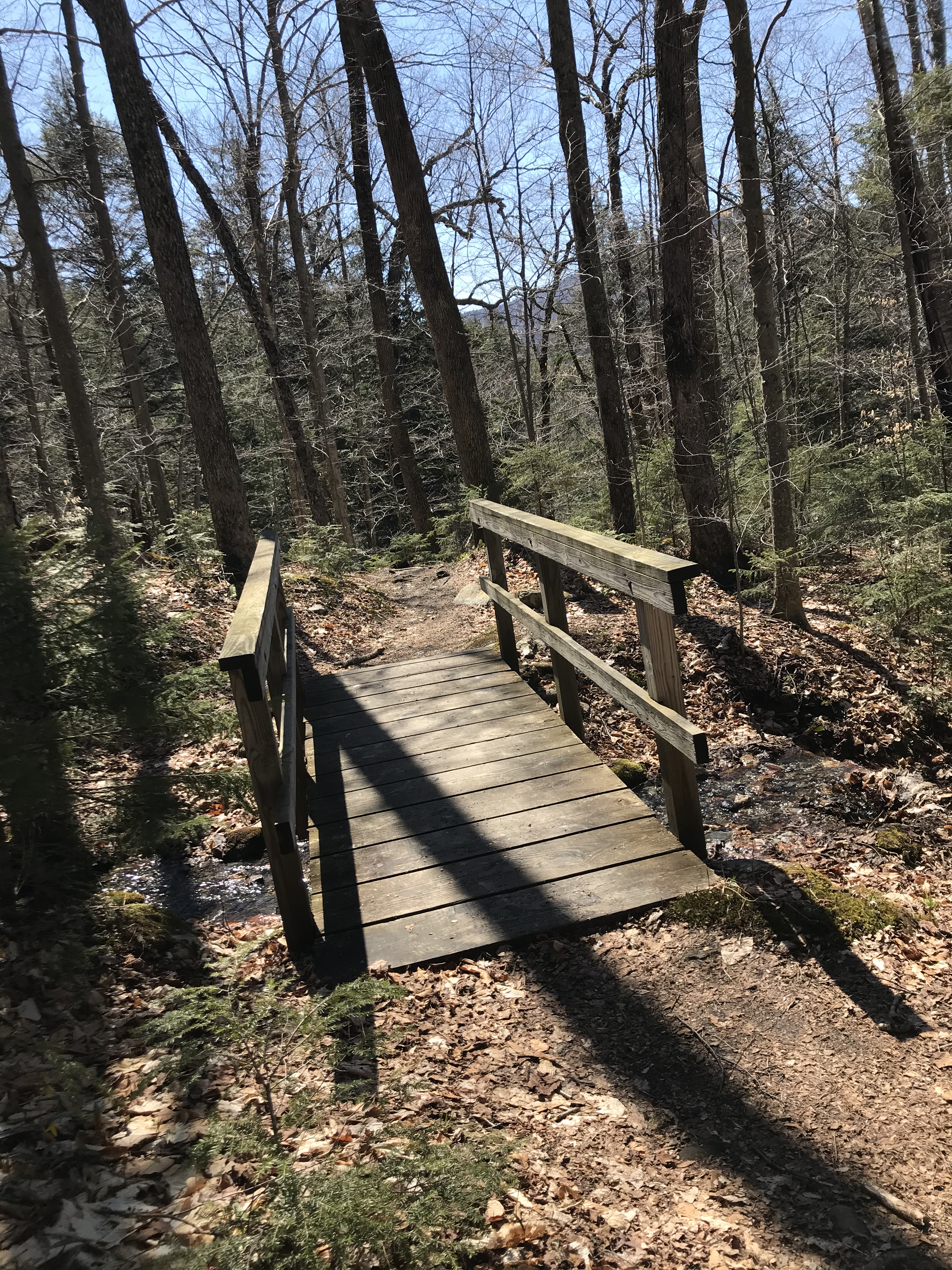 C376C6E7-1DAB-480A-8591-82CD38519505