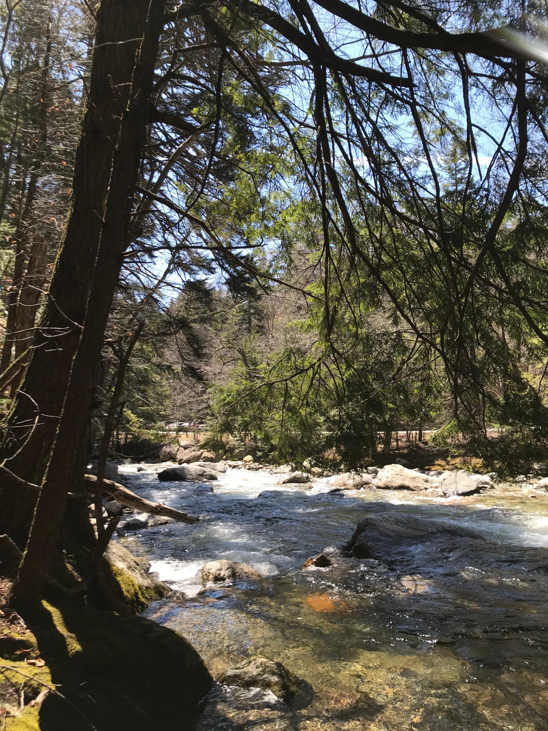 C4F93B88-91A3-4C8D-AD67-45268AD6838C