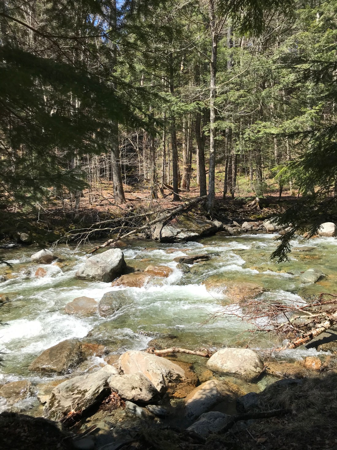 C7EB0C9B-A028-4EAE-857C-F4C70305E005