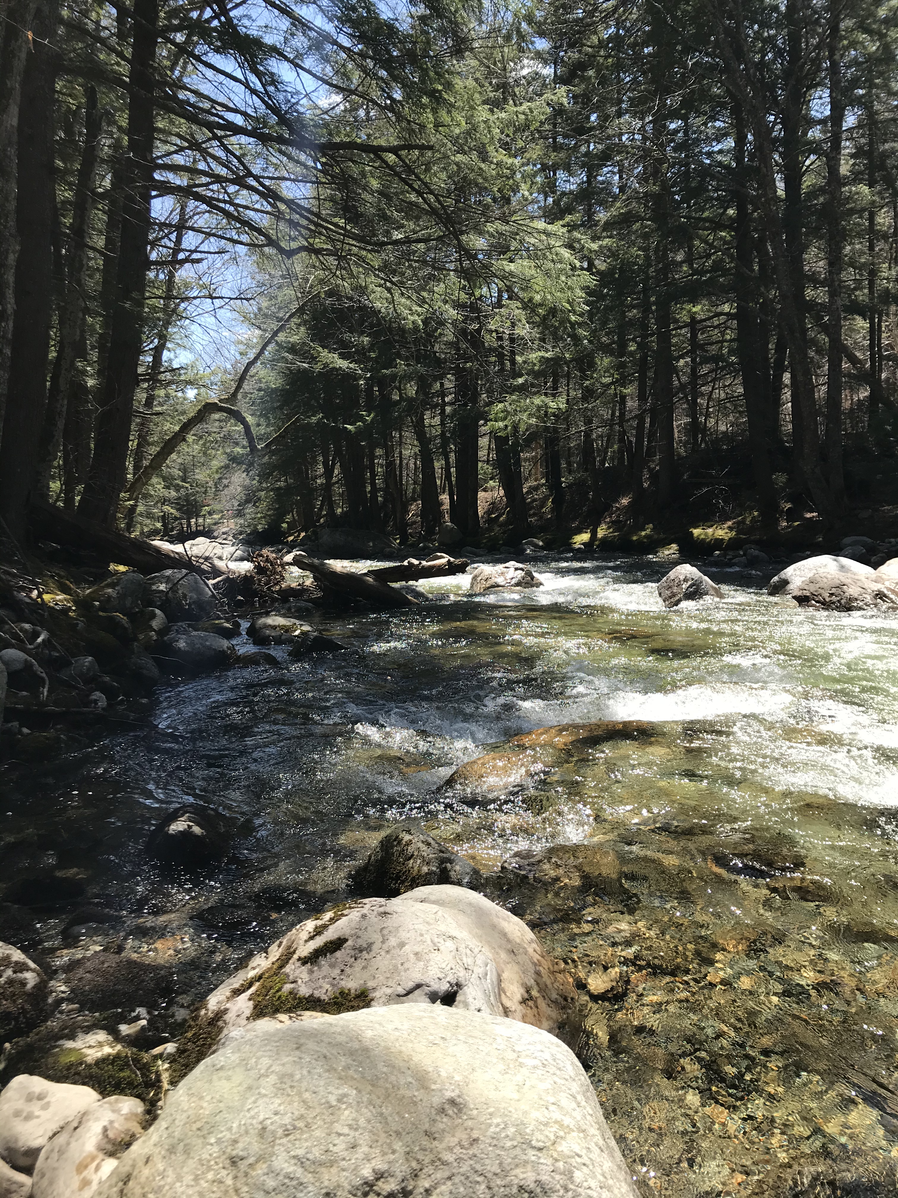 D00144A0-192A-4FFF-B2E1-6BC18C3C1CA7