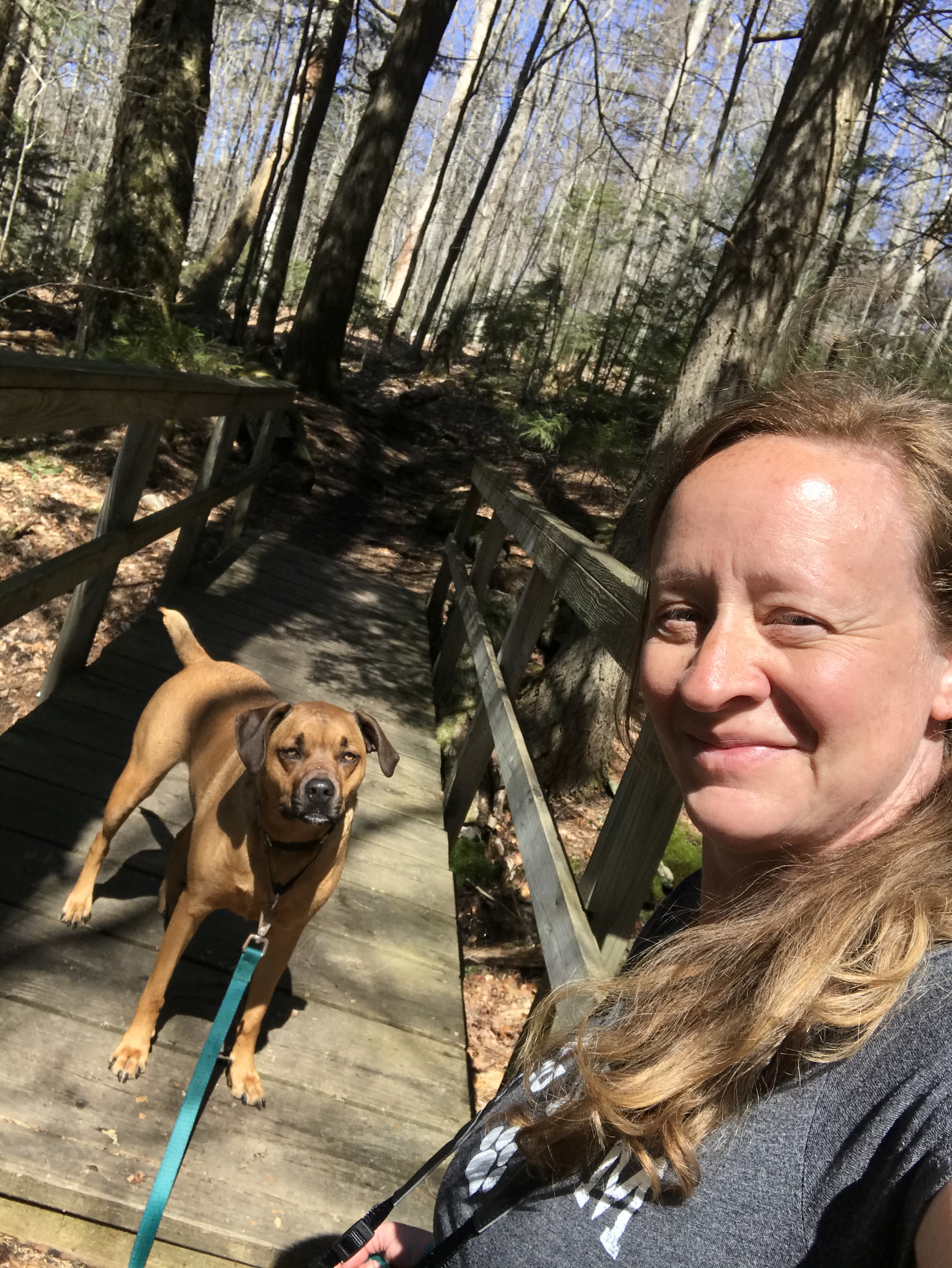 D6C98233-8BEF-480F-A9EE-FEE7CE4449E3