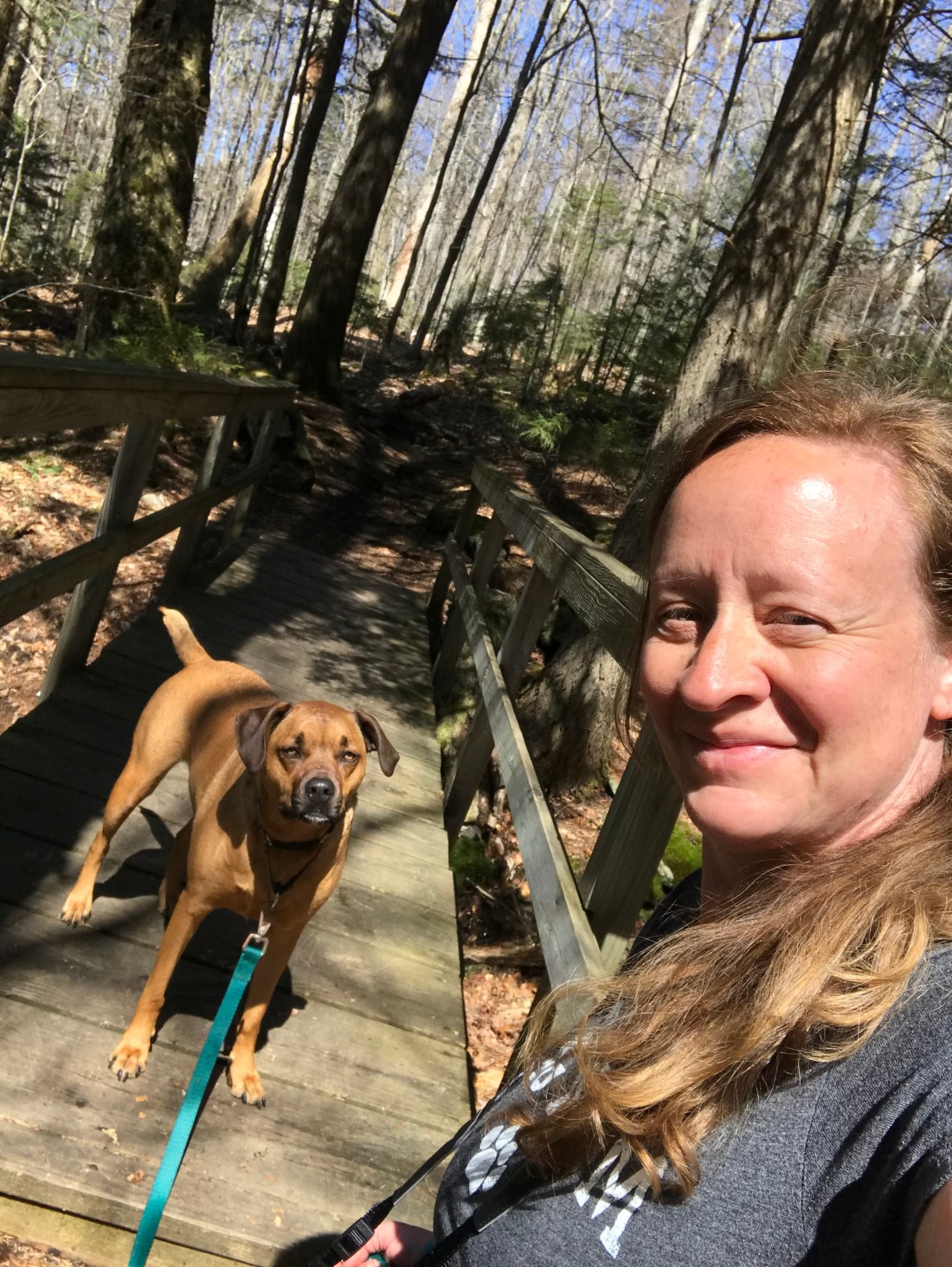 D6C98233-8BEF-480F-A9EE-FEE7CE4449E3