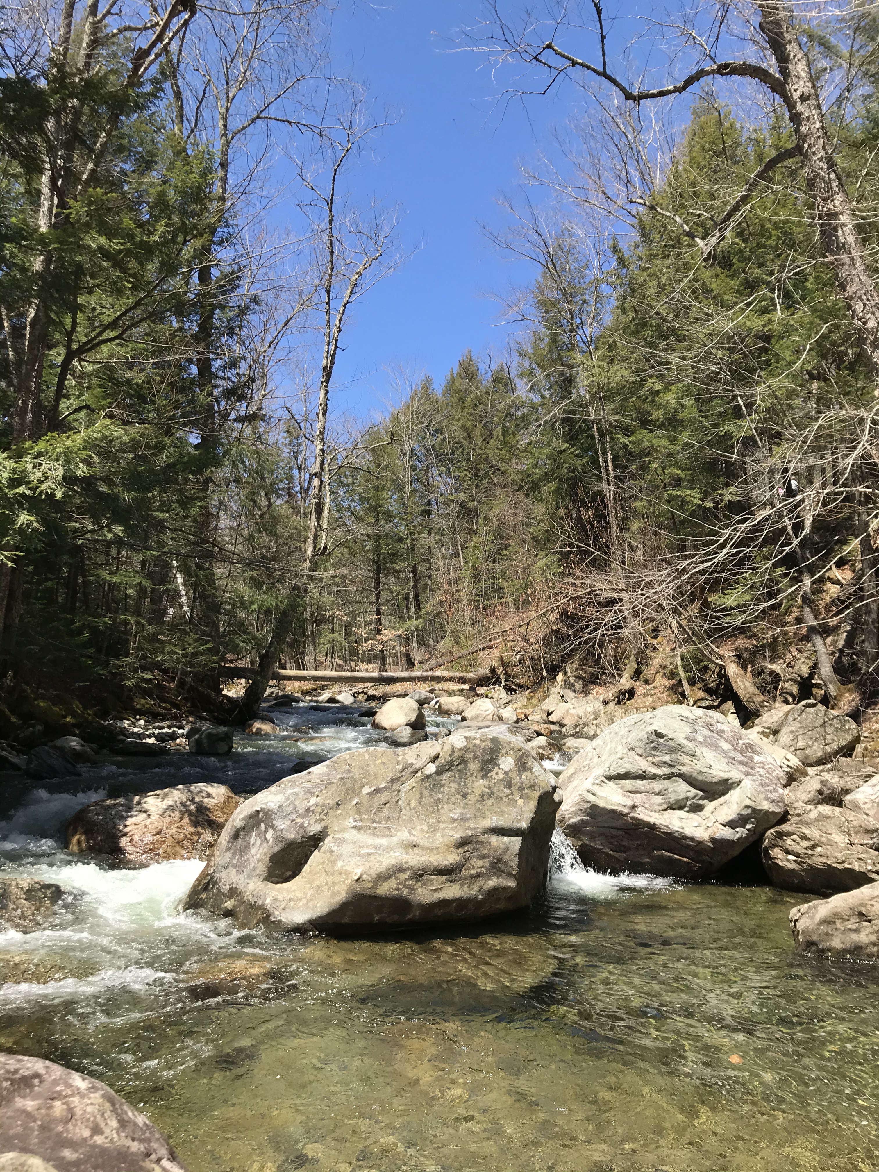 DB051E6C-5615-4CA6-8532-83202D03529C