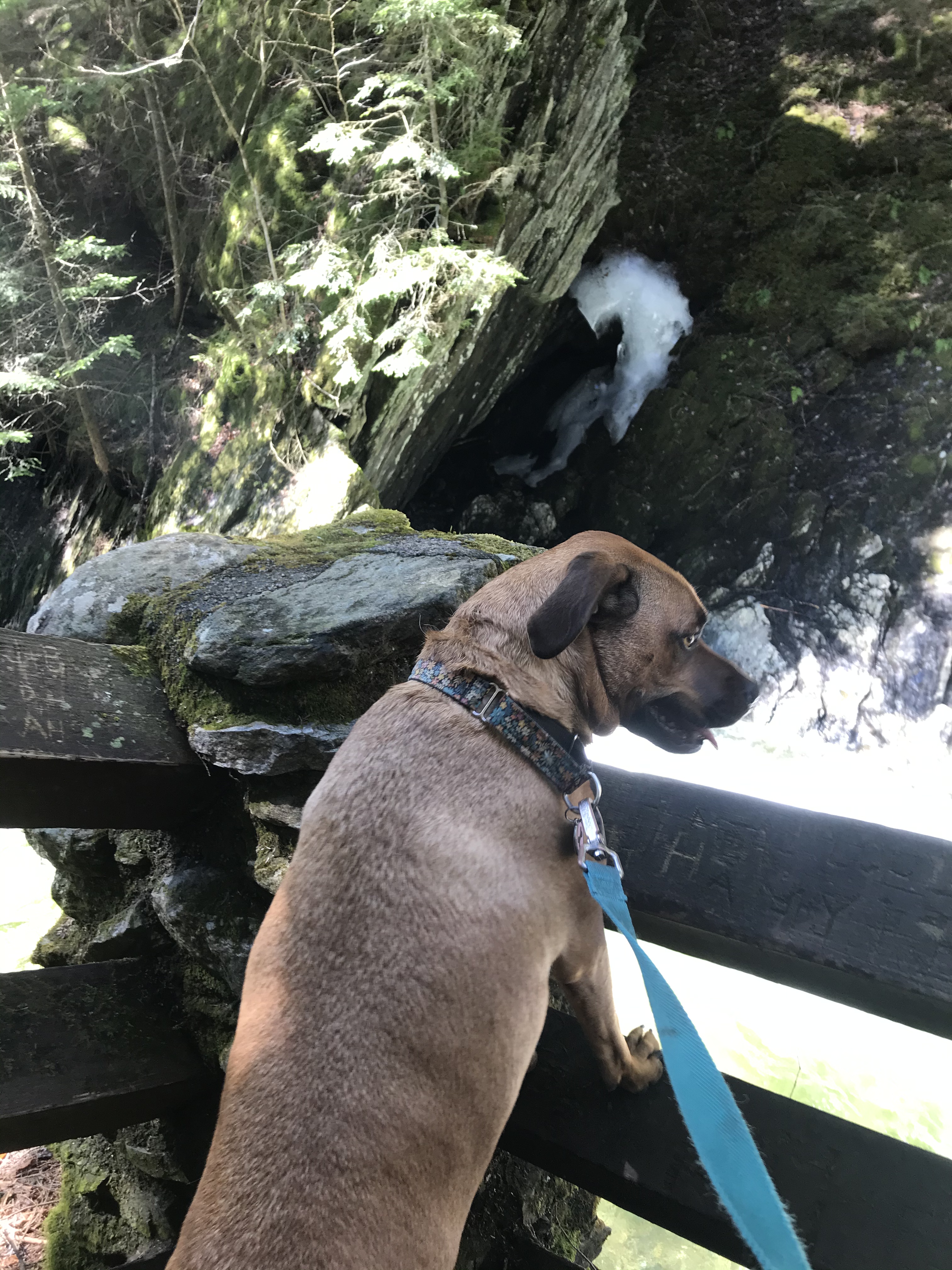 E44CEB10-16D3-4257-A1C0-772368622837