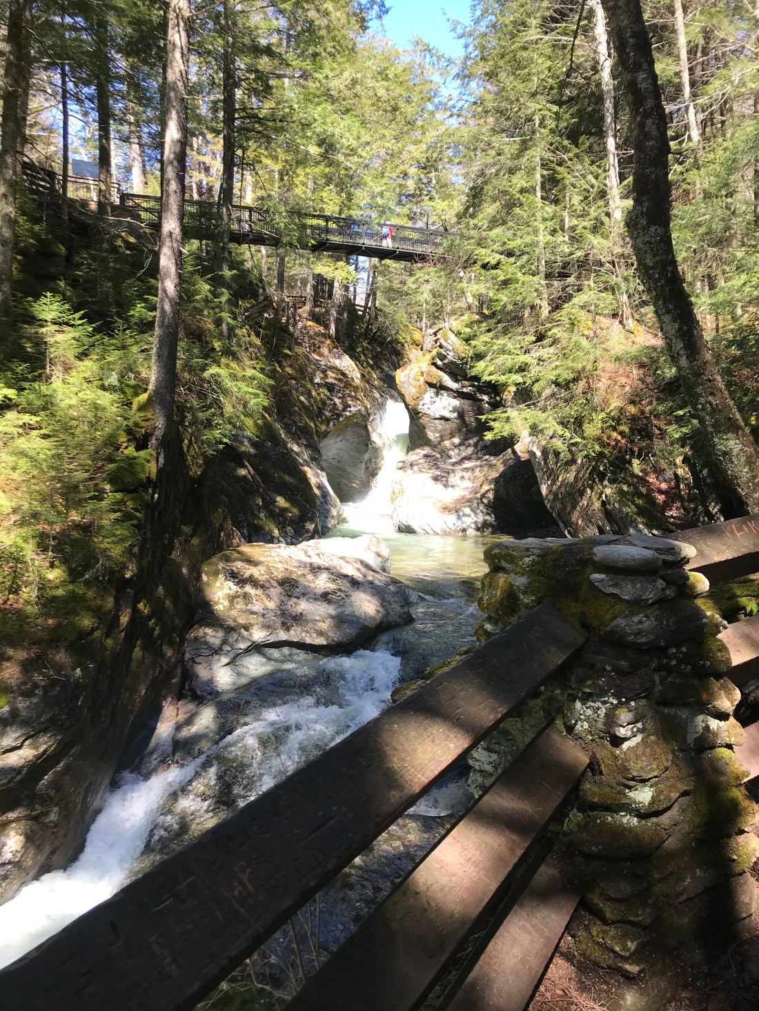 F11955B6-6E4A-45EA-843A-149CAE0AD0D5