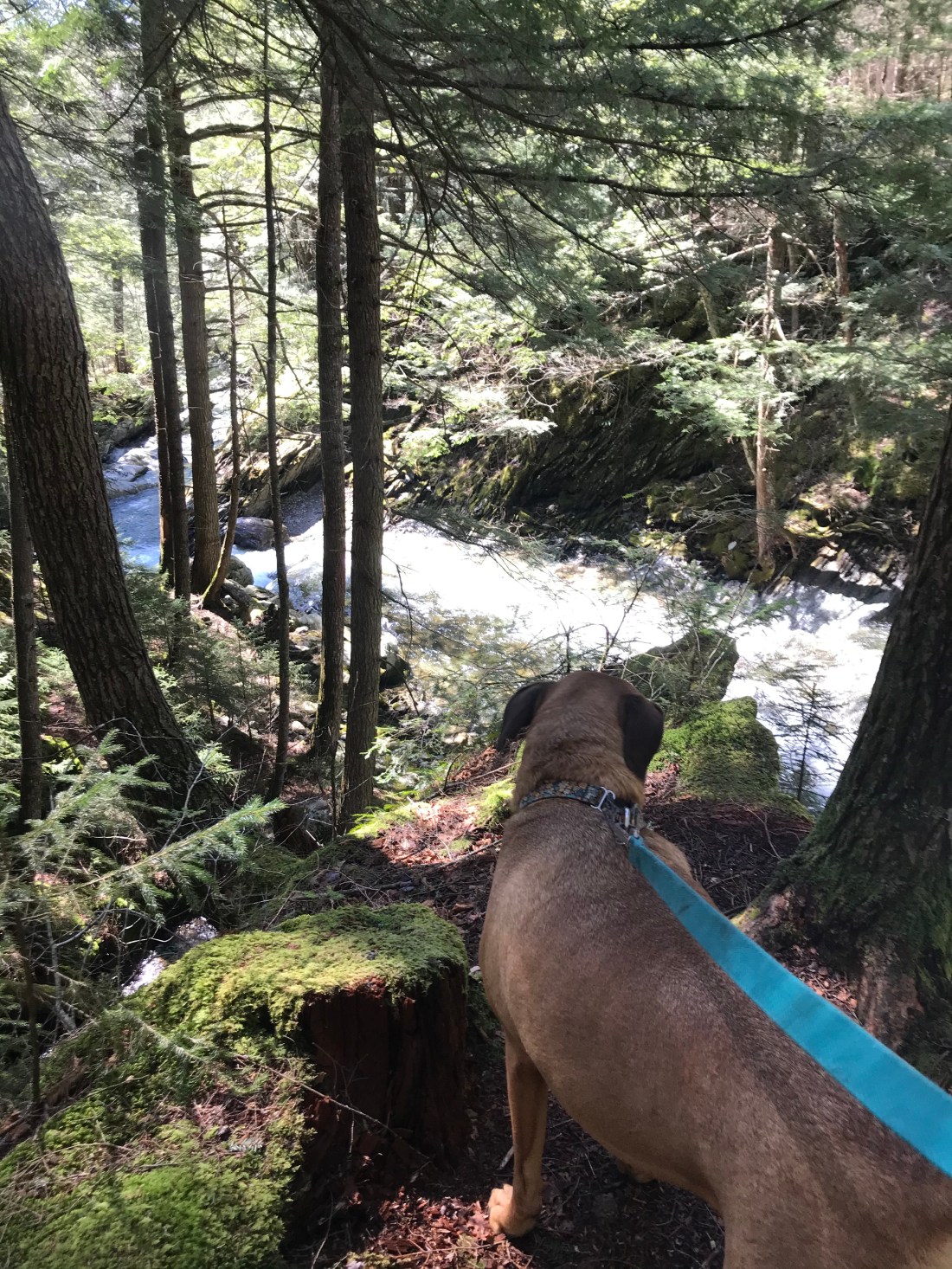 F119B77B-A835-40E2-A9C8-6682FF033E73