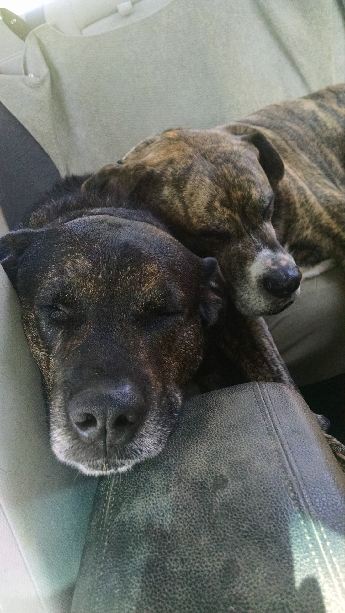 IMG_20150502_153002924