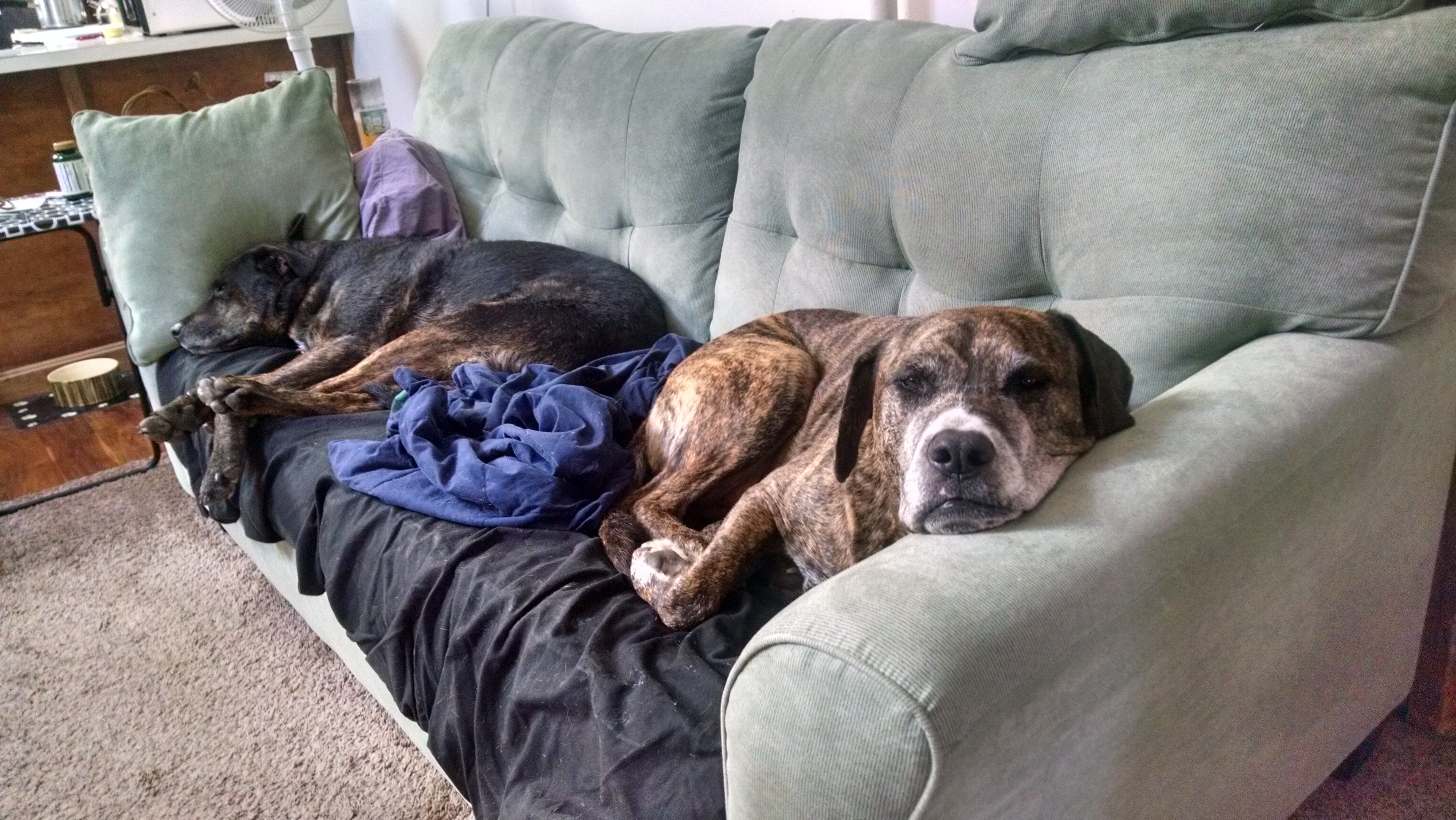 IMG_20150927_164735706_HDR